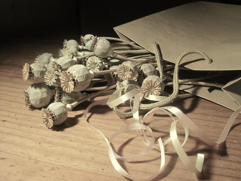 Galaxy seed packets